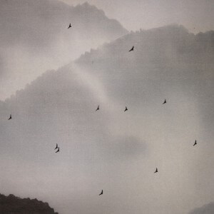 0028 Pagoda / Susumu Kawahara 003