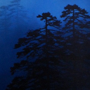 0041 Mt. Fuji / Suguru Ootake 006