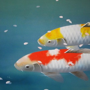 0055 Koi Fish (Carp): Cherry Blossoms / Shukou Okamoto 003