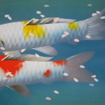 0055 Koi Fish (Carp): Cherry Blossoms / Shukou Okamoto 004