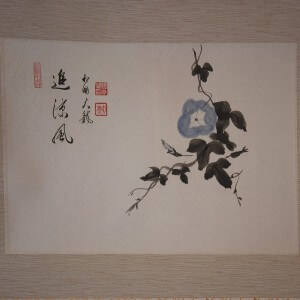 0077 Morning Glories / Raitei Arima 003