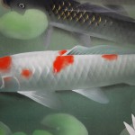 0079 Koi Fish (Carp): Water Lilies / Shukou Okamoto 005
