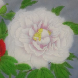 0081 Peonies / Tomo Katou 003