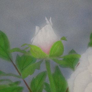 0081 Peonies / Tomo Katou 005