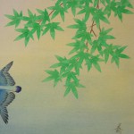 0091Kakejiku with Kingfisher Bird Painting / Tatsurou Shima 003