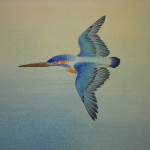 0091Kakejiku with Kingfisher Bird Painting / Tatsurou Shima 004