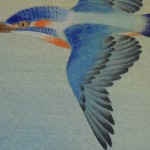 0091Kakejiku with Kingfisher Bird Painting / Tatsurou Shima 005
