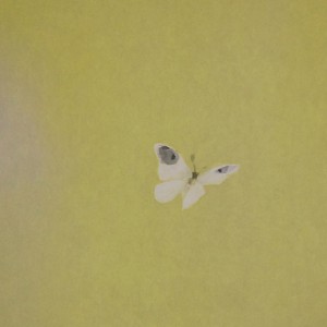 0101 Kakejiku with Lily Painting / Keiji Yamazaki 006