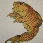0148 Koi Fish (Carp) Painting / Yasuo Tadami 005
