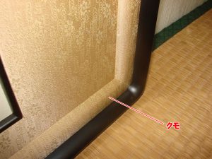 クモ入額