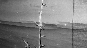 掛軸の折れ 剥落_header