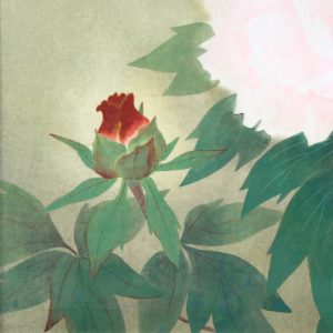 池野扶其　掛軸　牡丹　日本画