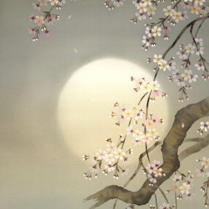 三宅和光　夜桜　絹本　掛軸　日本画