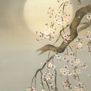 三宅和光　夜桜　絹本　掛軸　日本画