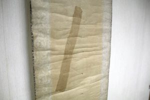 江戸　明治　虎　掛軸　仕立替