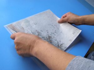 中国製掛軸 表装 仕立替