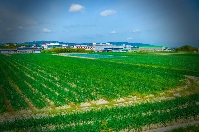 南あわじ市　掛軸　表装　四国八十八ヶ所