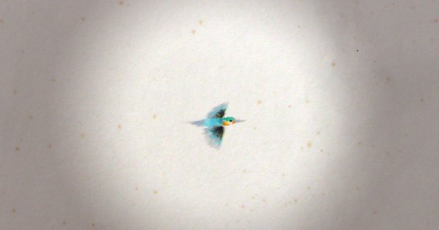 掛軸のシミ抜き