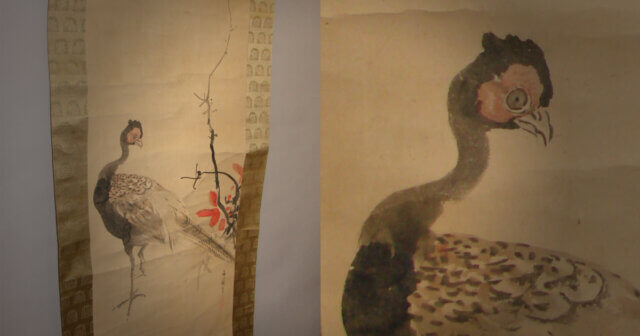 ustralia kakejiku restore remount